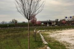 0034-2009-03-27-CENTRO-BREAK-PRIMA-DEI-LAVORI-PARCO-CIRCUITO-CAMPO-GOLF